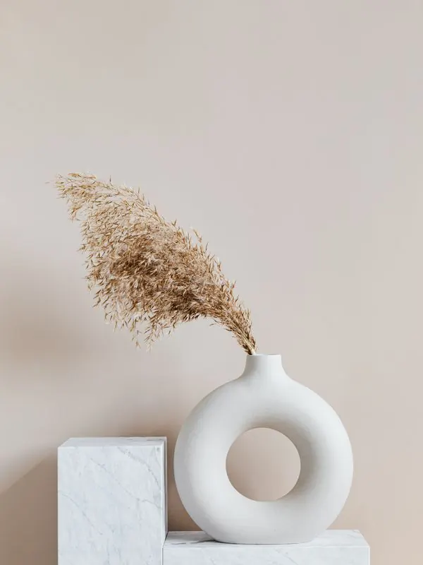 Compositions de fleurs séchées et de pampas, créations botaniques durables