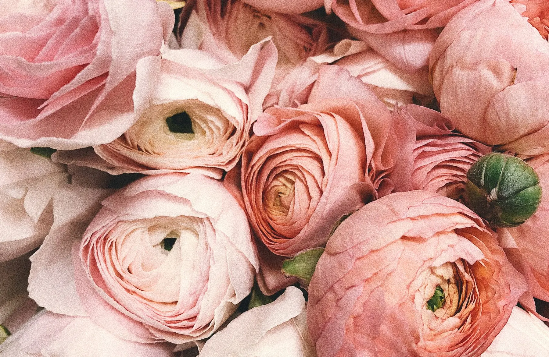 Composition florale artistique de saison, fleurs fraîchement cueillies
